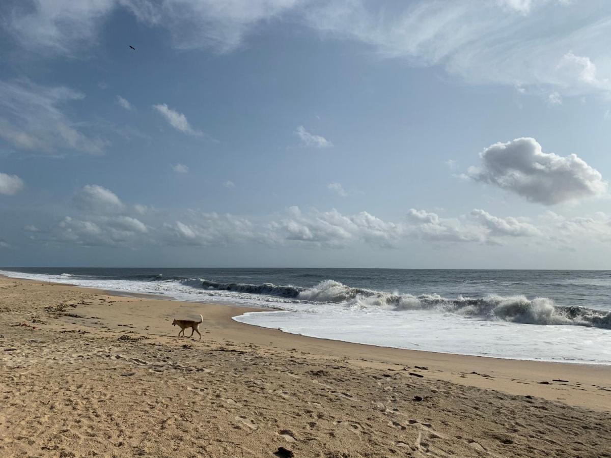 Peacock Villa Marari Beach Mararikulam Luaran gambar